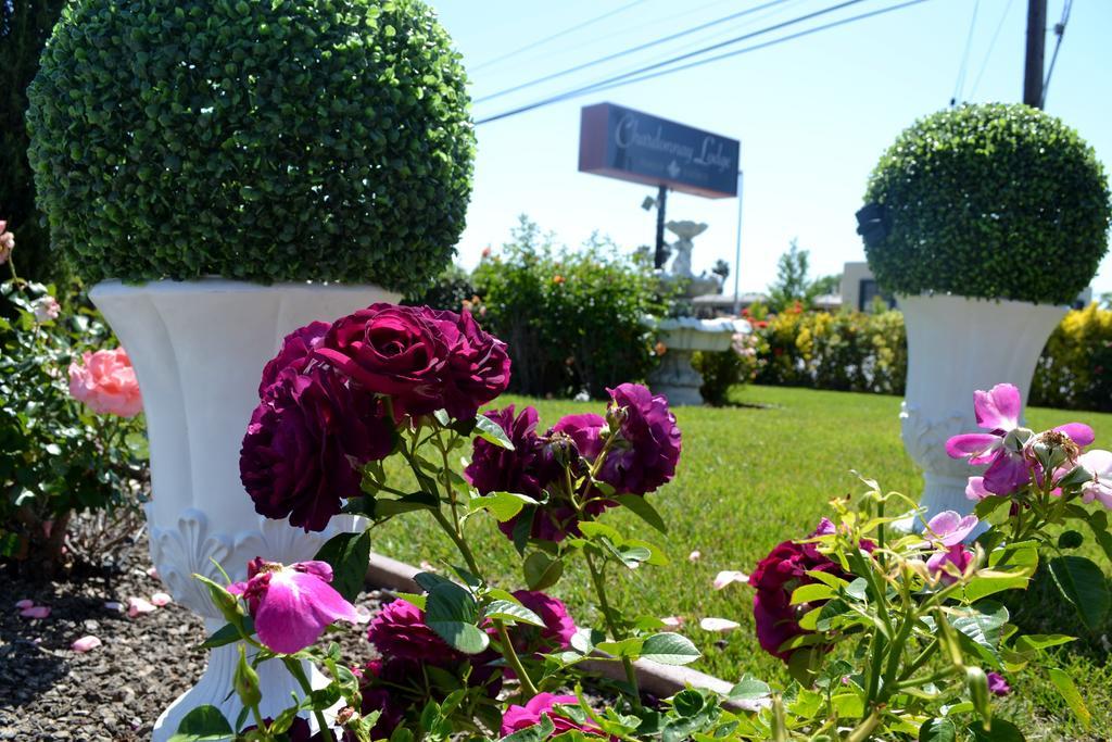 Chardonnay Lodge นาปา ภายนอก รูปภาพ