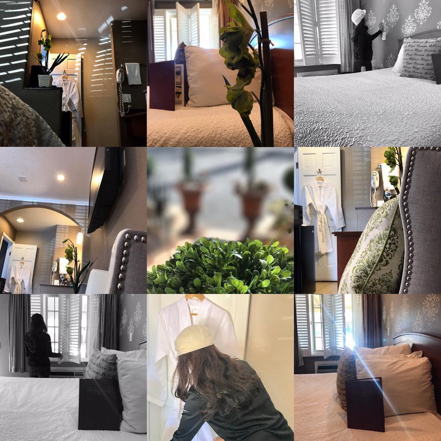 Chardonnay Lodge นาปา ภายนอก รูปภาพ